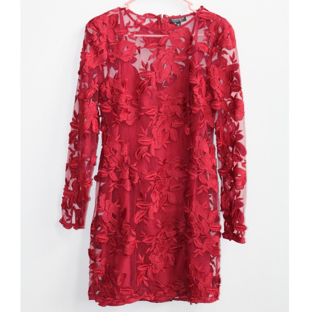 Top Shop, Garnet Red Embroidered Mesh Long-Sleeve Dress, Size 6
